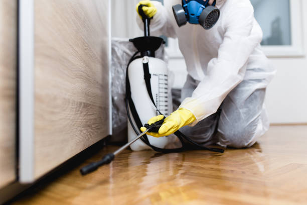 Best Affordable Pest Control Services  in Guntersville, AL