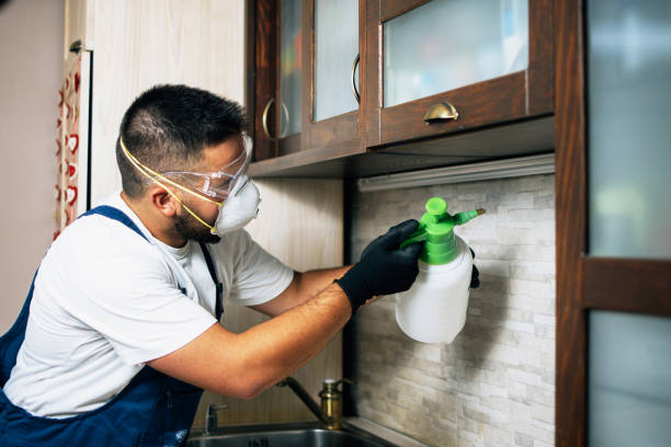 Best Insect Control  in Guntersville, AL