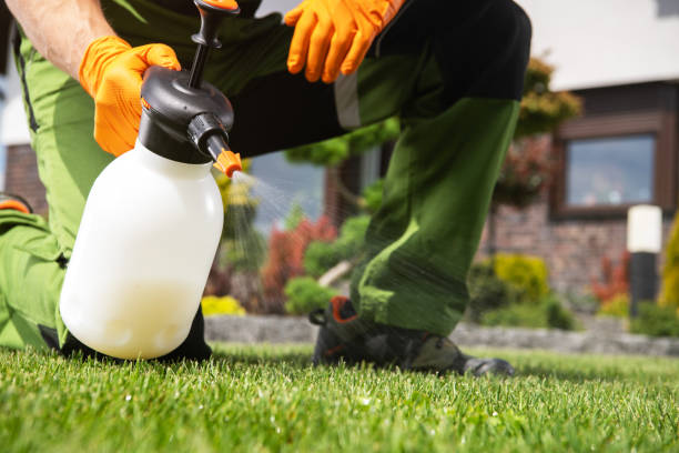 Best Commercial Pest Control Services  in Guntersville, AL