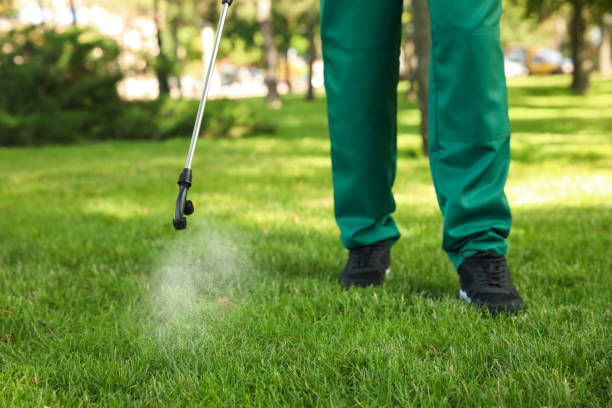 Best Pest Control Near Me  in Guntersville, AL