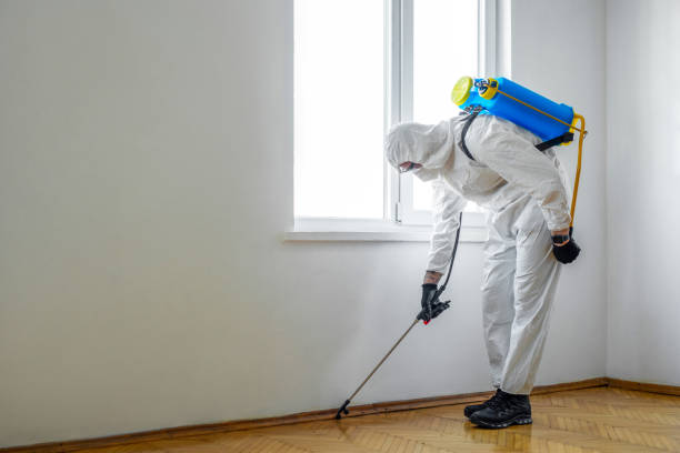 Professional Pest Control in Guntersville, AL
