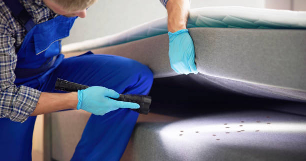Best Pest Control Treatment  in Guntersville, AL