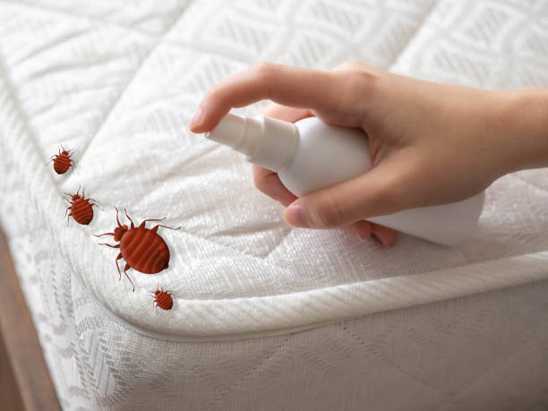 Pest Prevention Services in Guntersville, AL