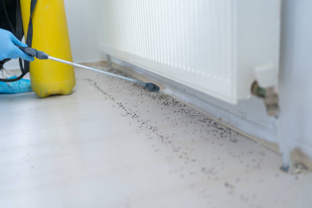 Best Pest Removal Services  in Guntersville, AL