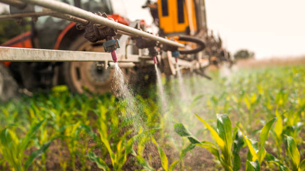 Best Ant Control Services  in Guntersville, AL